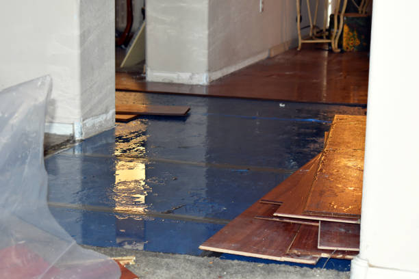 Professional Basement Flood Cleanup technician working in Changewater, NJ